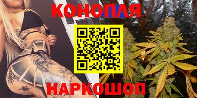прущие крисы Будённовск