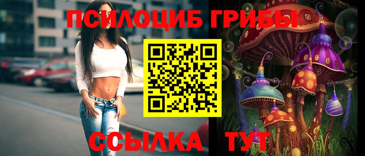 Галлюциногенные грибы MAGIC MUSHROOMS  Вход с VPN  Красный Сулин 
